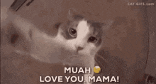 I Love You Mama GIF - I Love You Mama GIFs