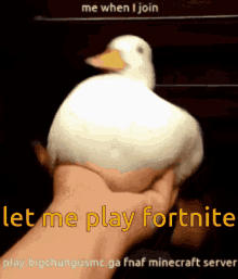 fortnite now me when i join let me play fortnite duck
