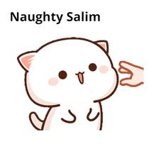 a cartoon cat with the words naughty salim on the bottom