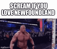 brock lesnar is screaming if you love newfoundland while standing in front of a crowd .