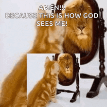 a kitten is looking at its reflection in a mirror and says amen because this is how god sees me !