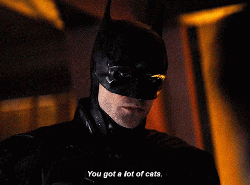 The Batman You Got A Lot Of Cats GIF - The Batman You Got A Lot Of Cats  Robert Pattinson - Discover & Share GIFs