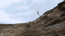 Extreme Cliff Jump  GIF - Jump GIFs