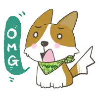 a brown and white dog wearing a green scarf with the name marco written on it