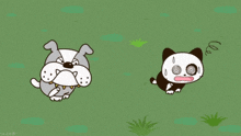 Tama And Friends Chasing GIF - Tama And Friends Chasing Cat And Dog GIFs