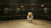 a chicken is standing in a boxing ring with skeletons in the background