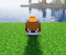 a fox in a minecraft game is standing on a grassy field