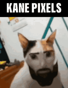 Kane Pickles Kane Pixels GIF - Kane Pickles Kane Pixels GIFs