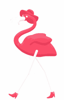 flamingo fabulous walking animation feed me motion