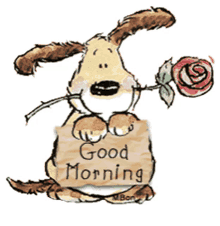 good morning love rose dog cute