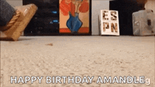 a person is standing on a carpet with a sign that says happy birthday amanda .
