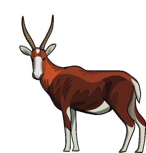Antelope Blesbok Sticker - Antelope Blesbok Bontebok Stickers
