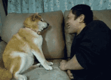 a man sitting on a couch with a dog looking at him