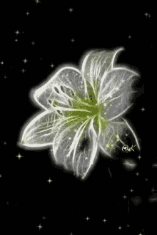 Animated Flower GIF - Animated Flower GIFs