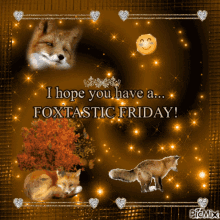 Fox Friday GIF - Fox Friday Foxtastic GIFs