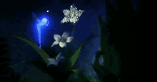 Flower Fairy GIF - Flower Fairy GIFs