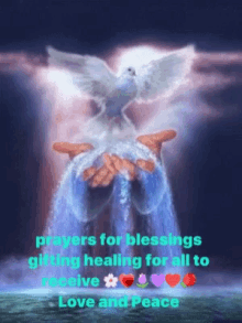 prayers dove hand peace