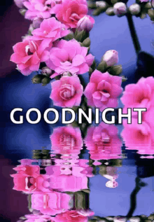 Goodnight Flowers GIF - Goodnight Flowers Water GIFs