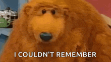 a stuffed animal with the words i could n't remember written on it .