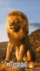 a lion sitting on top of a hill with the word beast written on the bottom