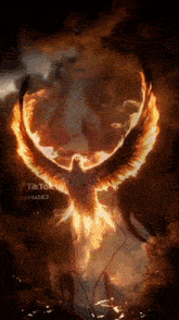 a phoenix is flying through the air with its wings outstretched in the sky .