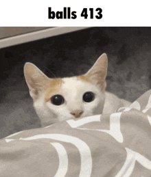 a cat laying under a blanket with the words balls 413 on the bottom