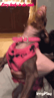 Dog Party GIF - Dog Party Libby GIFs