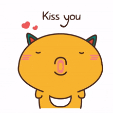 animal kitty cat cute kiss