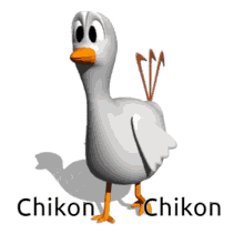 Chicken Chiken GIF - Chicken Chiken Chikon GIFs