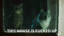 This House Is Fucked Up Dead Boy Detectives GIF - This House Is Fucked Up Dead Boy Detectives What A Horrible Place GIFs
