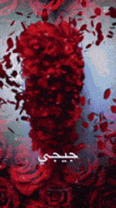 a bunch of red roses with the letter i in the center