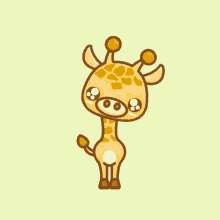 Giraffe Stare GIF - Giraffe Stare Looking GIFs