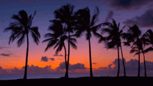 Ocean Sunset GIF - Ocean Sunset GIFs