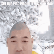 Chinese Snow GIF - Chinese Snow Xue Hua Piao Piao Bei Feng Xiao Xiao GIFs