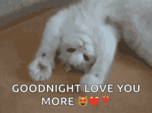 Love Goodnight GIF - Love Goodnight Love You More GIFs