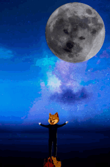 Doge Moon GIF - Doge Moon Djdoge GIFs