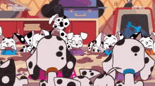 a group of dalmatian dogs are playing in a kitchen with a disney logo behind them