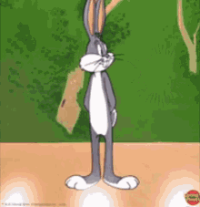 Bugs Bunny GIF - Bugs Bunny What GIFs