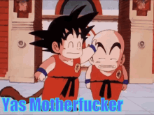 Yas Goku GIF - Yas Goku Krillin GIFs