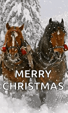 Horse Christmas GIF - Horse Christmas Xmas GIFs