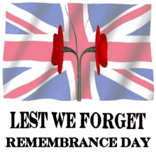 remembrance day poppy day lest we forget armistice day 3d gifs artist