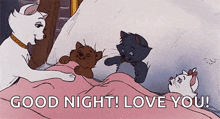 Ready Go To Bed GIF - Ready Go To Bed Cats GIFs