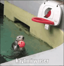 Kayhmi GIF