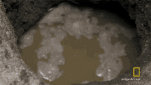 murky water subterranean treasure primal survivor water in hole dirty water
