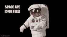 Space Ape Zadarmy GIF - Space Ape Zadarmy Zada GIFs