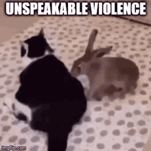 Bunny Violence GIF - Bunny Violence GIFs