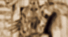 a blurred image of a giraffe 's face with a blurry background