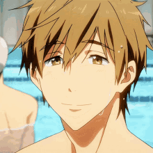 Free Anime GIF - Free Anime Free Iwatobi Swim Club GIFs