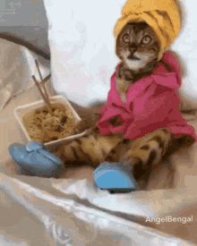 Cute Cat GIF - Cute Cat Just Finish Taking A Bath GIFs