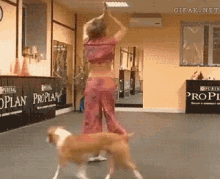 Dog Dancing GIF - Dog Dancing Dog Tricks GIFs